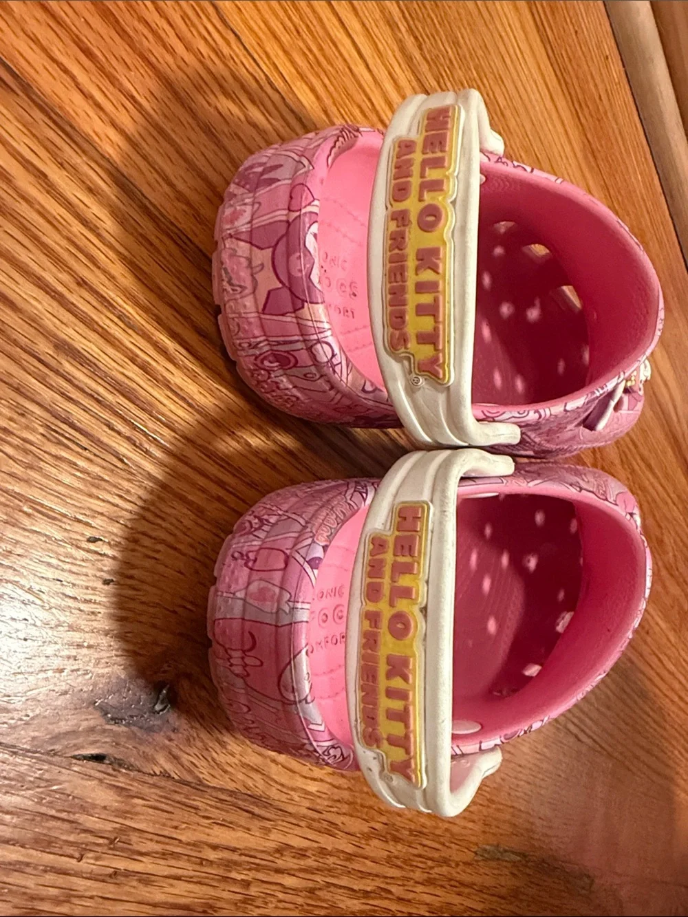 CROCS Kids Pink Character Slip-On Clogs with Backstrap